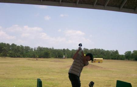 Golfin' Dolphin Image