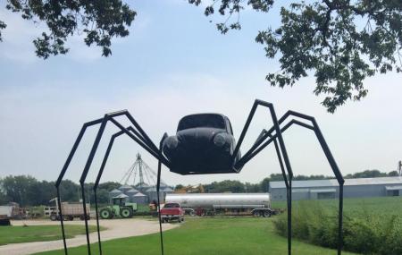 Volkswagen Beetle Spider Image