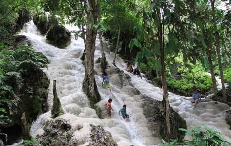 Bua Tong Waterfall Image