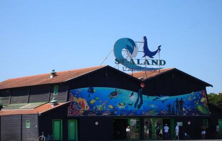 Sealand Aquarium Image
