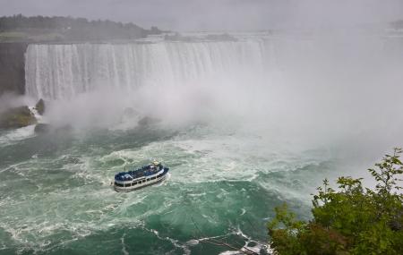 Niagara's Fury Image