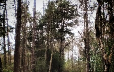 Turkey Creek Park Image