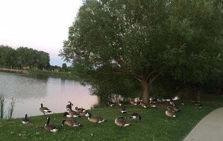 Huston Lake Park Image