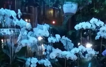 West Village Florists Image