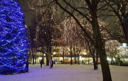 Rice Park Image