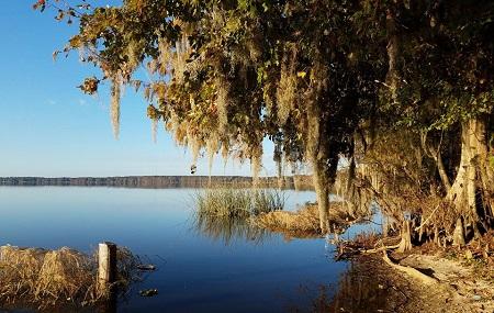 Newnans Lake Conservation Area Image