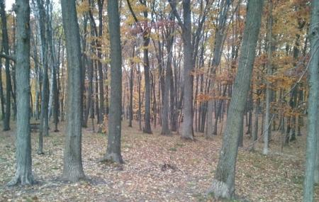 Brown County Park & Pet Exercise Area Image