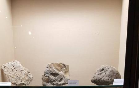 Crisp Museum Image