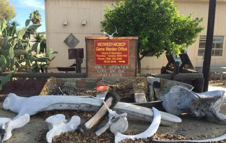 Camp Pendleton Game Warden Image