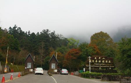 Taiping Mountain Forest Recreation Area Image