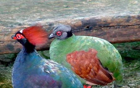 Florida International Teaching Zoo Image