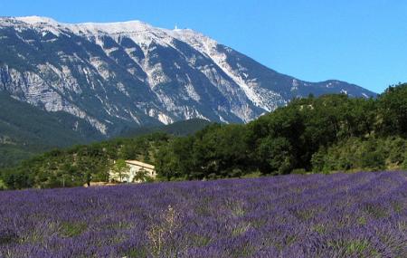 Provence Image