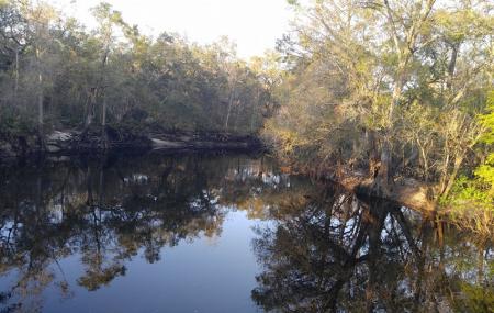 Green Swamp Wilderness Preserve Image