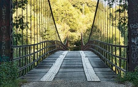 Swinging Bridge Image