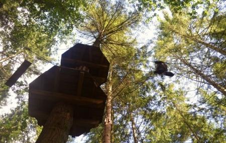 Go Ape Black Park Image