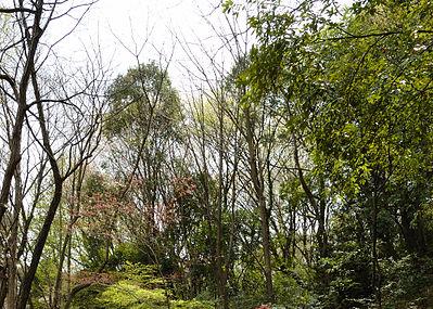 Kirigaoka Park Image