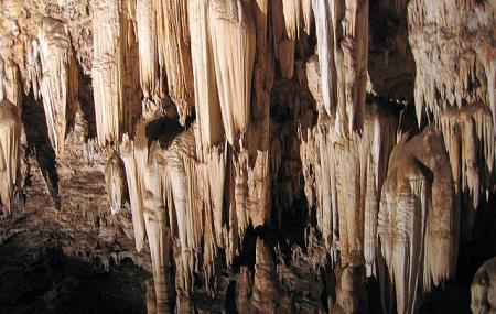 Wonder Caves Image
