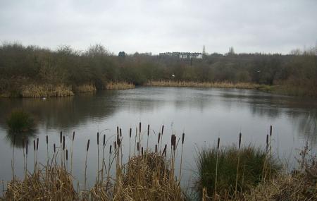Shirebrook Valley Nature Reserve, Sheffield Ticket Price Timings