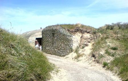 Skagen Bunker-museum Image