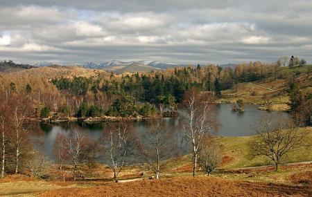 Tarn Hows - National Trust Image