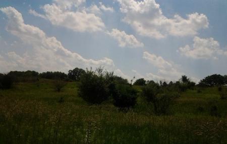 Merritt Prairie Forest Preserve Image