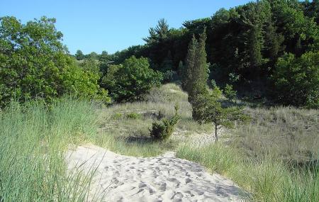 Indiana Dunes State Park Image