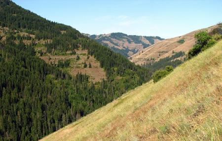 North Fork Umatilla Wilderness Image