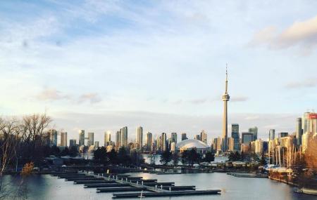Toronto Island Marina Image