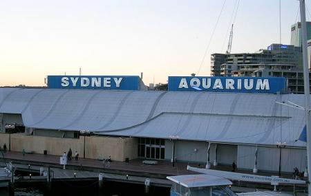 Sea Life Sydney Aquarium Image