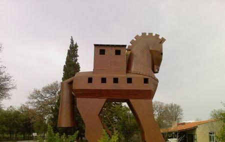 Troy Image