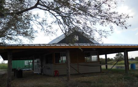 Brushy Creek Motor Farm Image