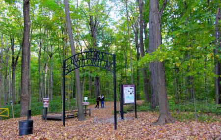 Maybury State Park Image