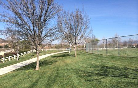 Abelia Sports Park Image