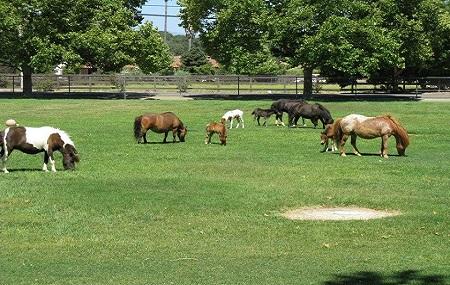 Quicksilver Ranch Image