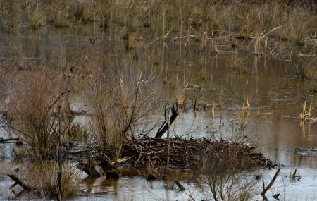 Rocky River Nature Park Image