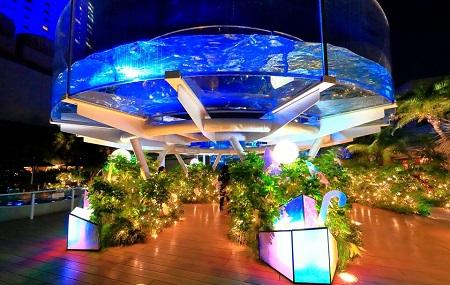 Sunshine International Aquarium Image