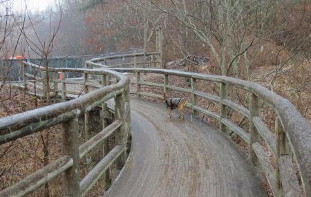 Coal Mining Heritage Park And Loop Trail Image