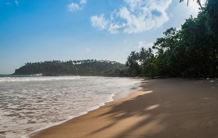 Mirissa Beach Image