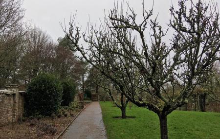 High Weald Aonb Image