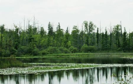 Wixom Habitat Image