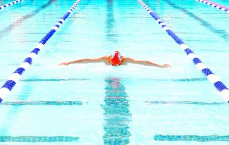 Idlewild Pool Image