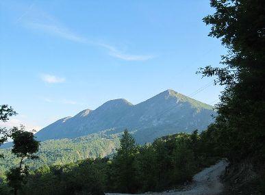 Dajti Image