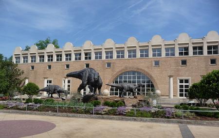 Fernbank Museum Of Natural History Image