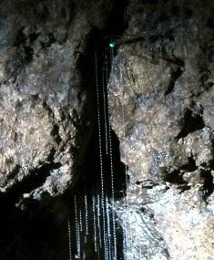 Kawiti Glow Worm Caves Image