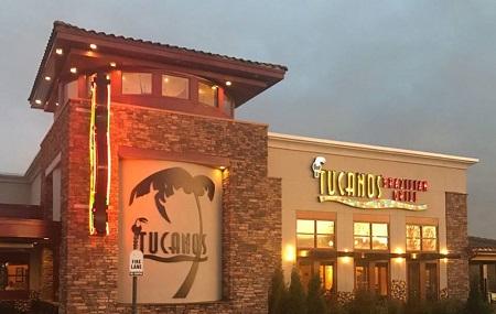 Tucanos Image