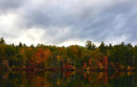Experience Squam Image