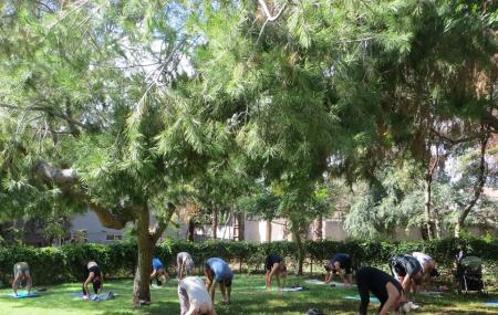 Runyon Canyon Yoga Image