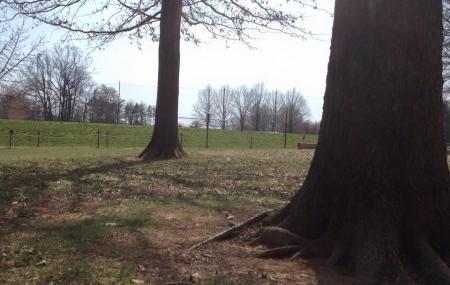 Howison Park Image