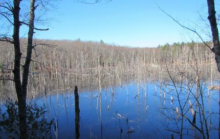 Mass Audubon's Rocky Hill Wildlife Sanctuary Image