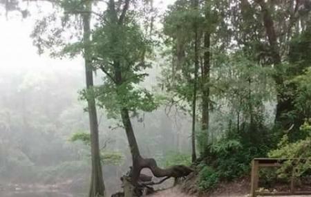 Cave Excursions Inc Image